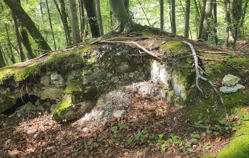 Grad Kravjek, Leščevje, Slovenia, Slovenia